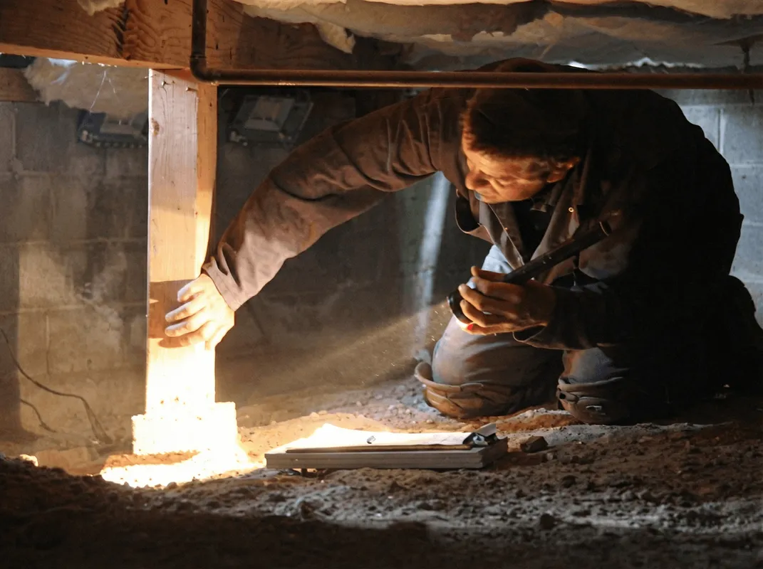 A professional inspecting wooden beams under the floor of a structure in Providence, RI